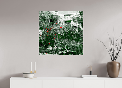 80 x 80 cm, Photo Print Under Acrylic Glass Rose bush